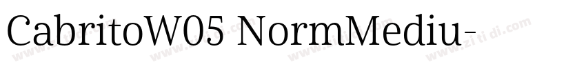 CabritoW05 NormMediu字体转换